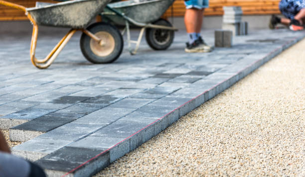 Best Driveway Border and Edging  in Lake Odessa, MI